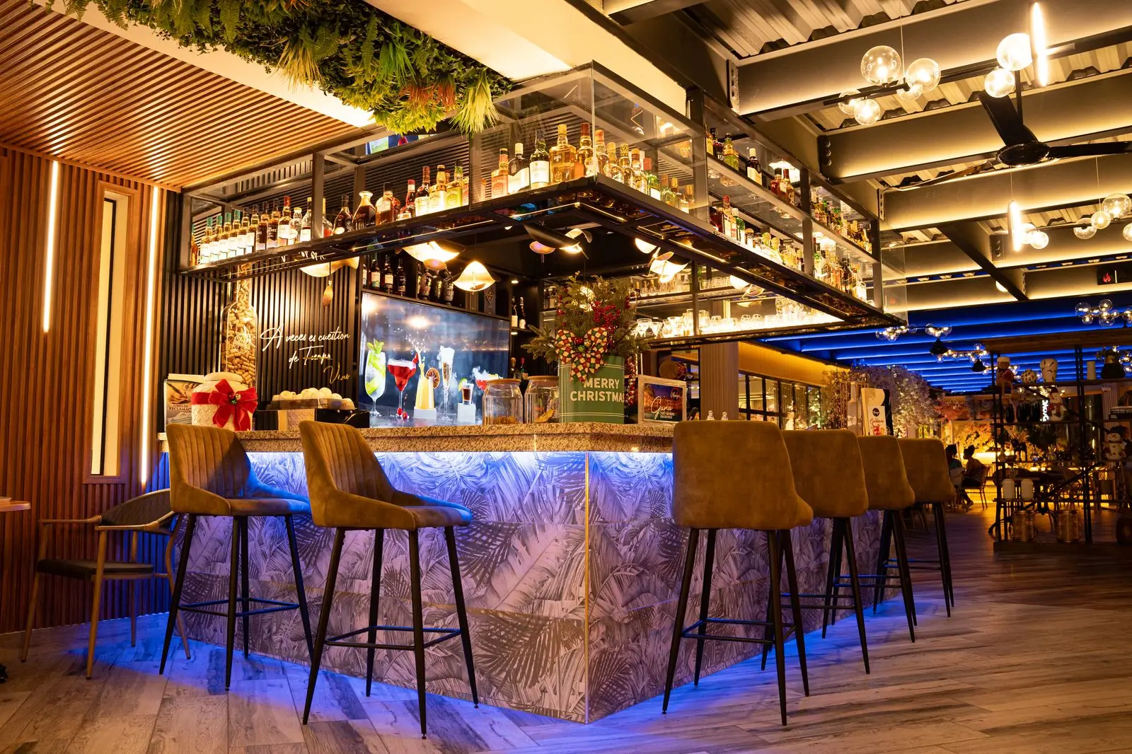 Illuminated bar at Amigas Bar & Lounge
